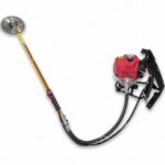 علف زن چهار زمانه اطلس