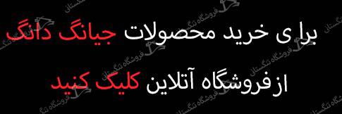 جیانگ دونگ دانگ